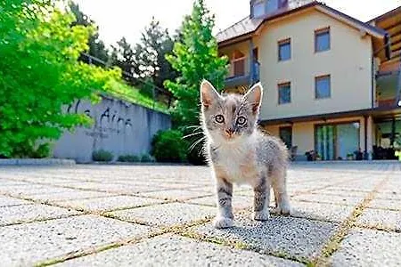 Aina Boutique 3* Rimske Toplice
